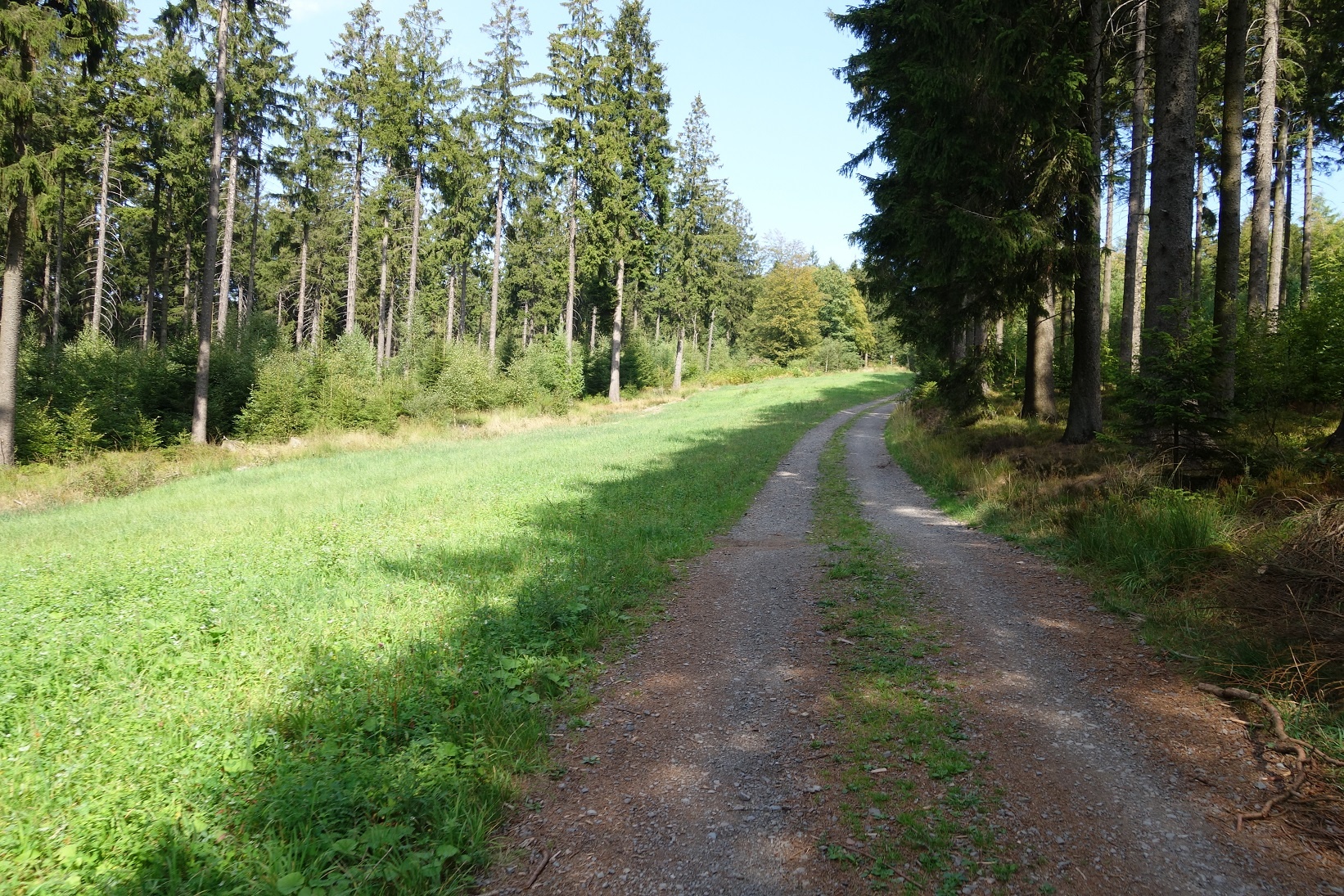 Langsam aber stetig berg auf führt uns der Weg