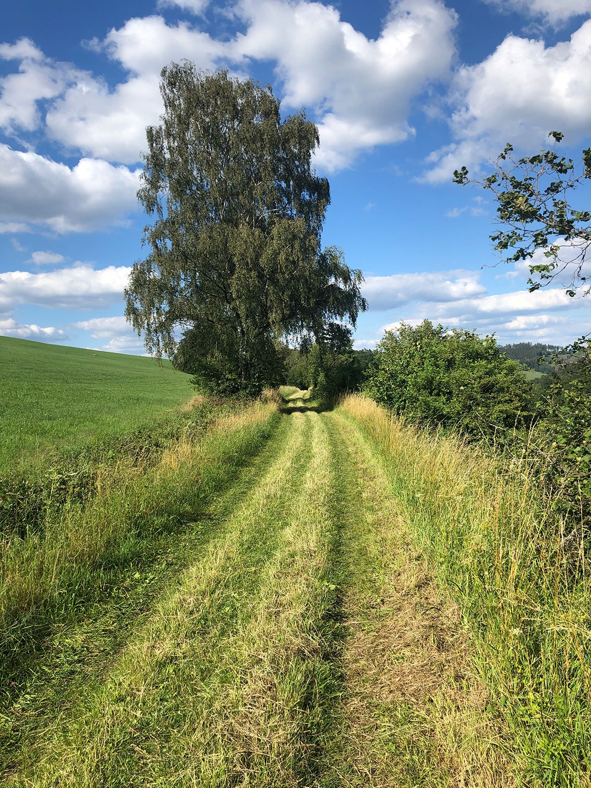 Feldweg Richtung Stöpplin