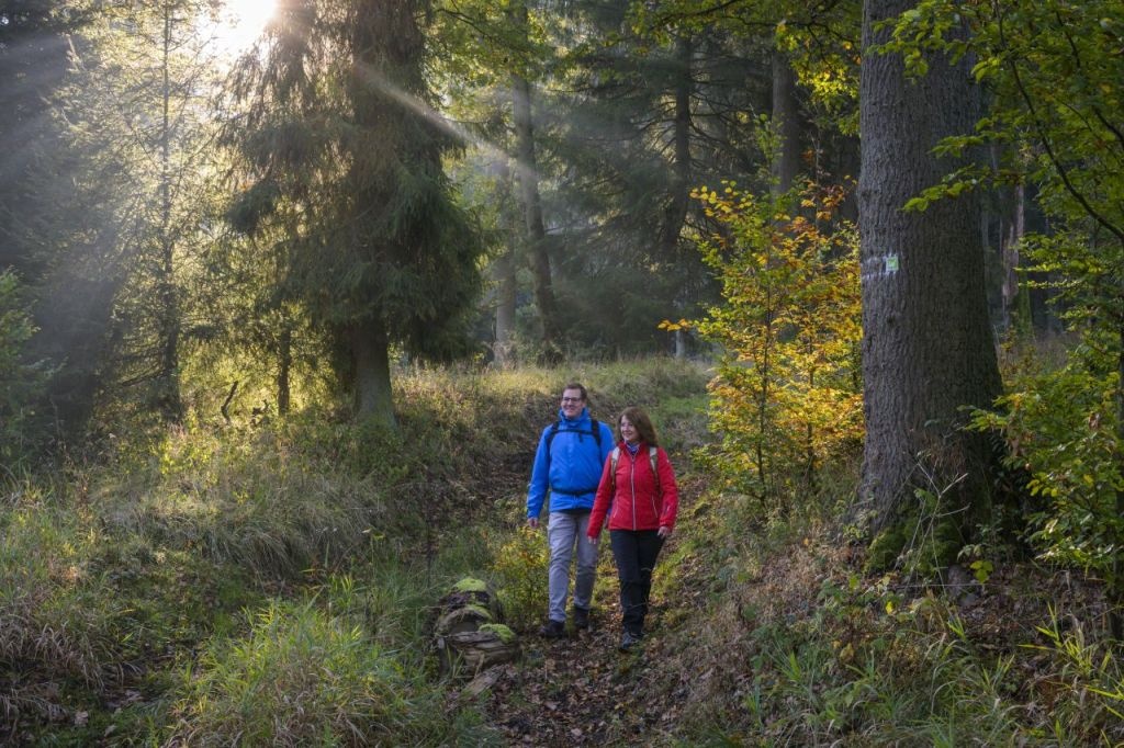 Unterwegs auf der Sauerland-Waldroute