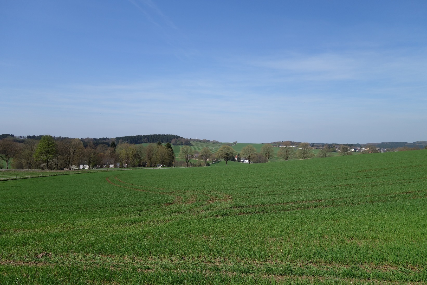 Aussicht entlang des (Höhen-)Weges