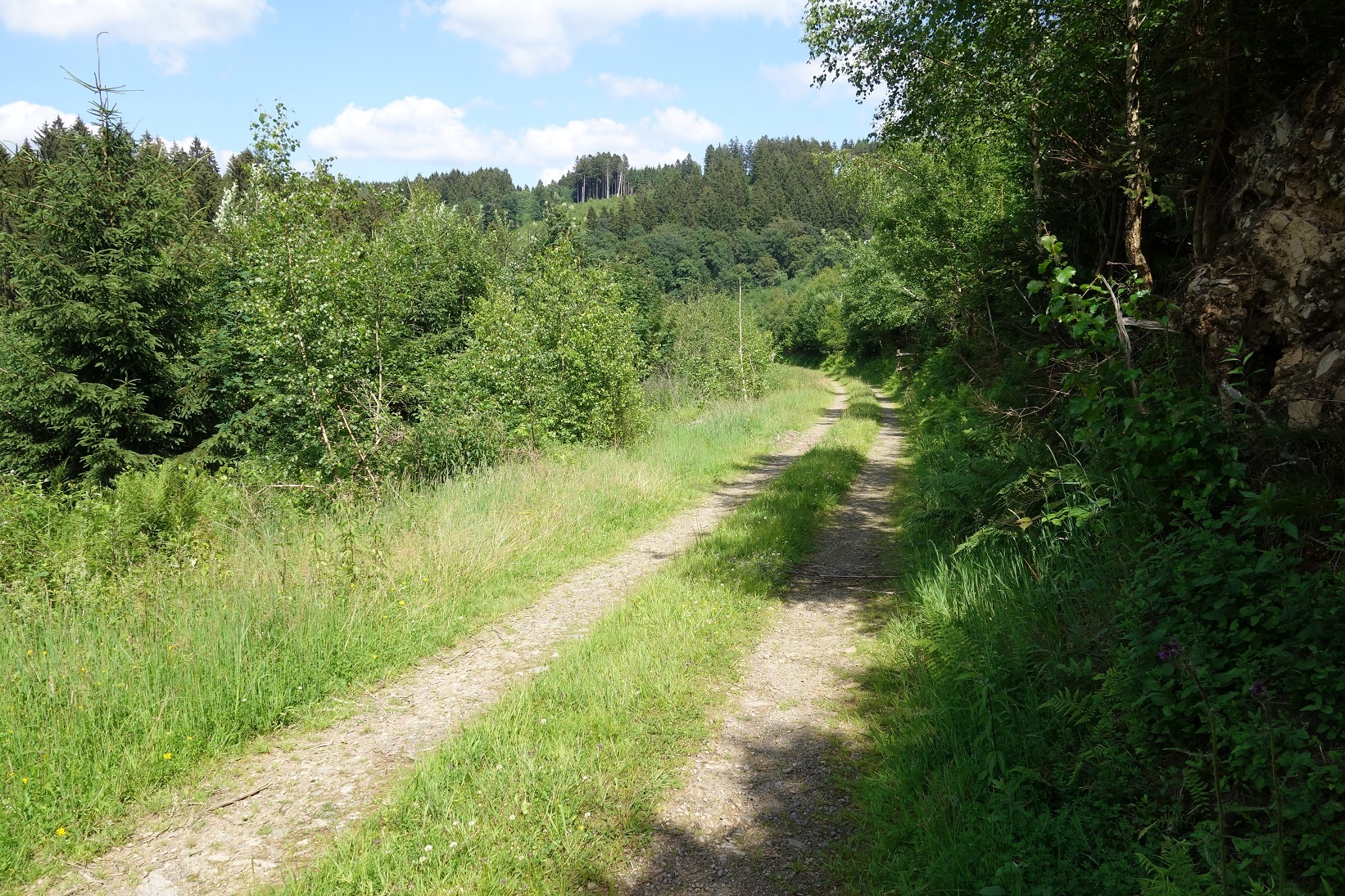 Zwischen Kränenberg und Hohhardt lässt es sich gemütlich wandern