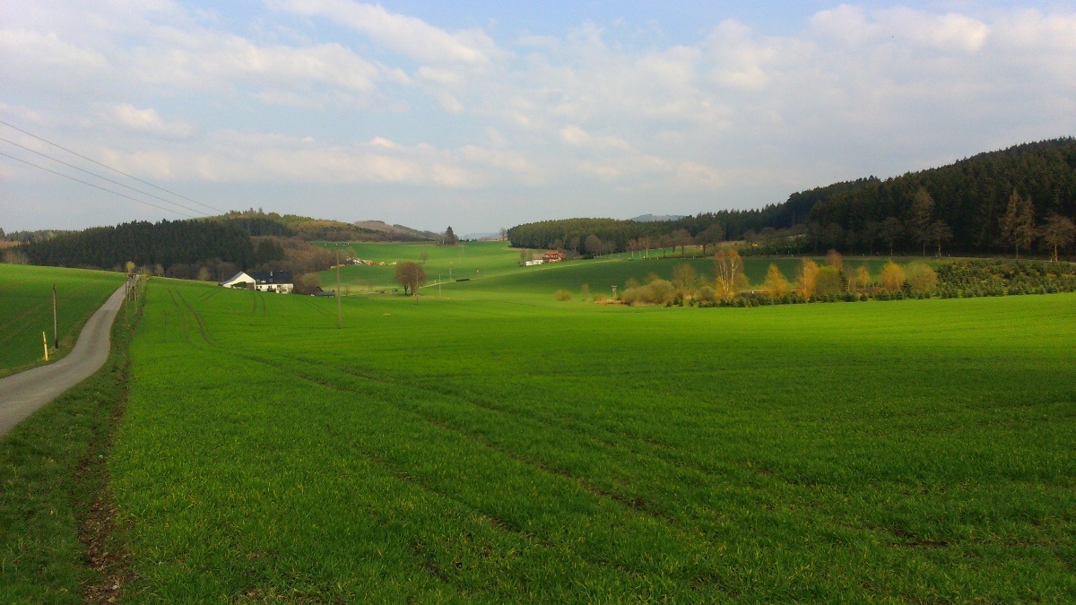 A1 Hespe - Blick auf einzelne Höfe im Hespetal