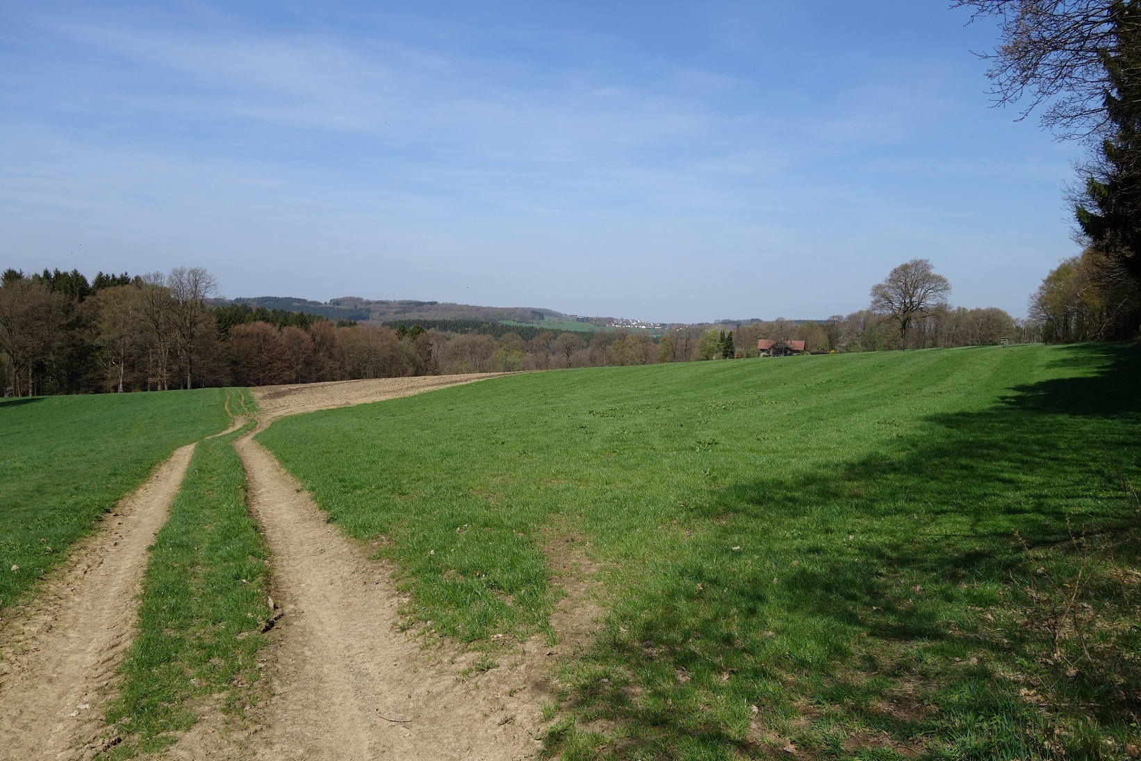 Forstwege führen uns über Wiesen und Felder