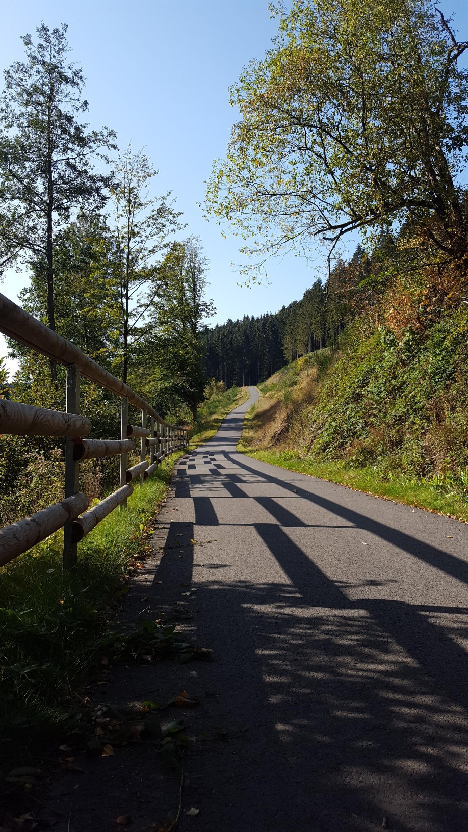 MTB Bergziegen Tour