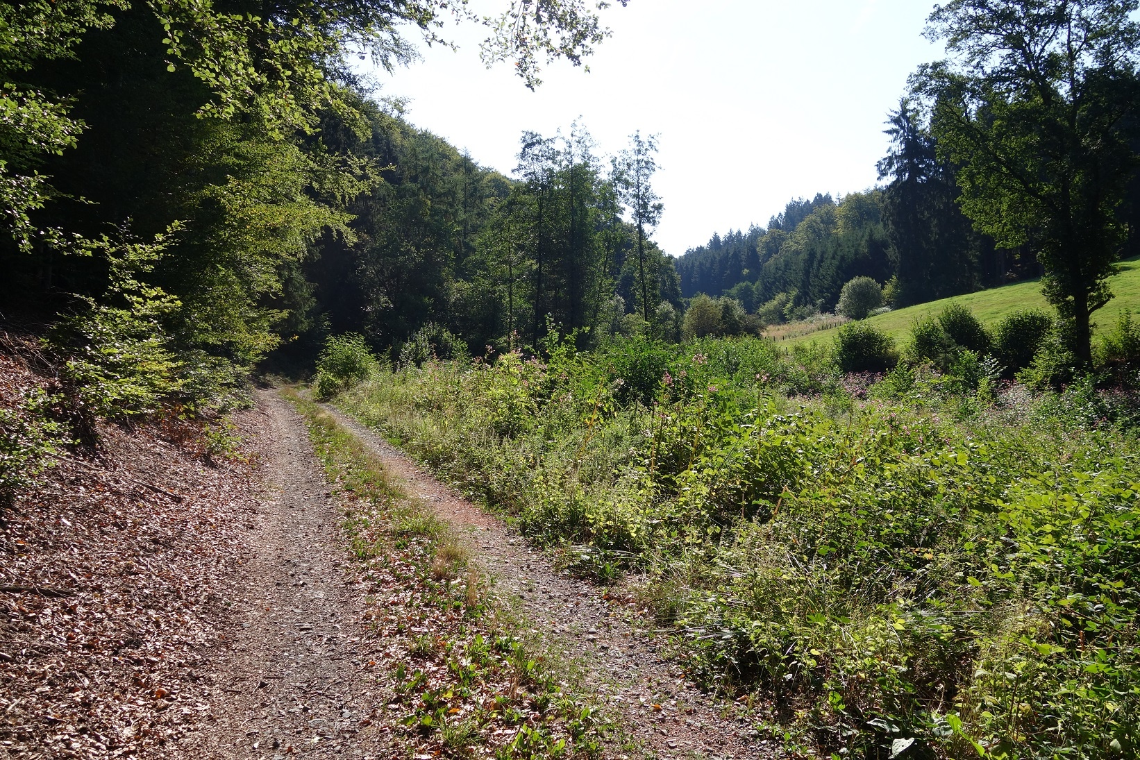 Wegeverlauf im Hilmecketal