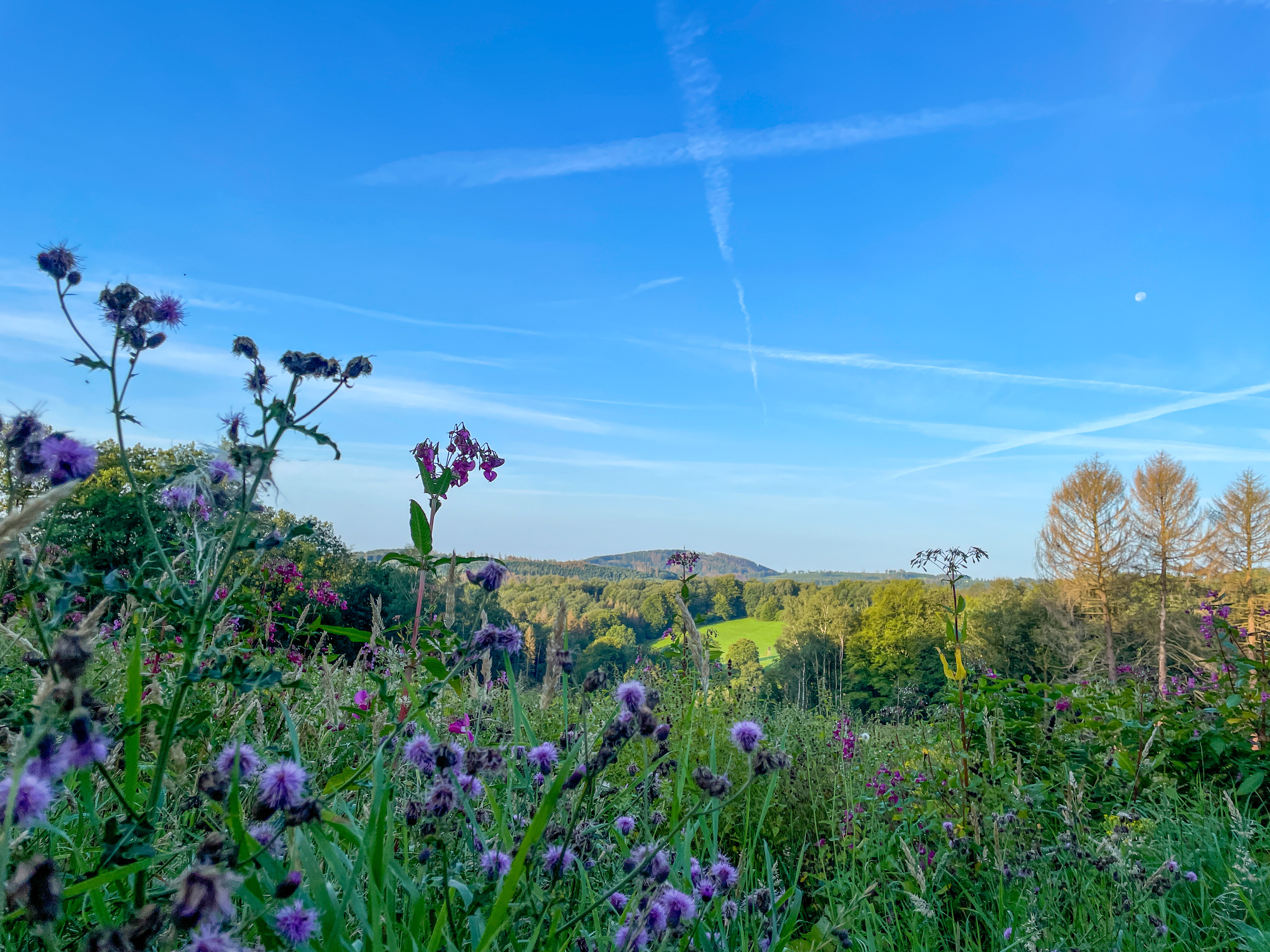 Der Weg belohnt immer wieder mit traumhaften Aussichten