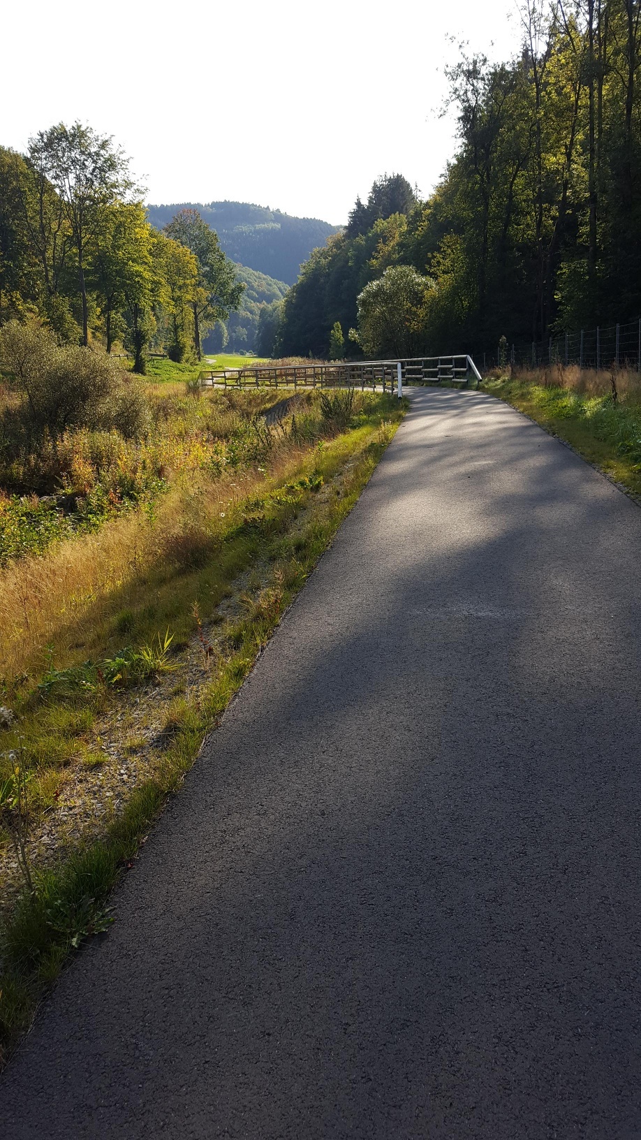 MTB Bergziegen Tour