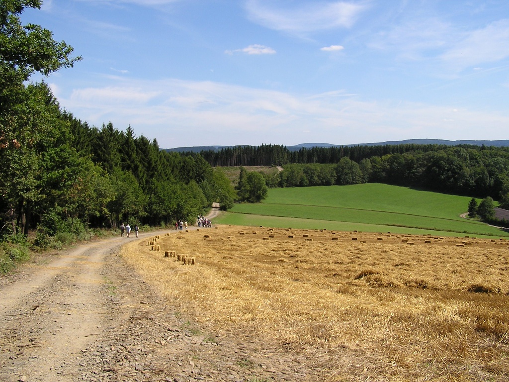 Zuweg in Richtung Attendorn