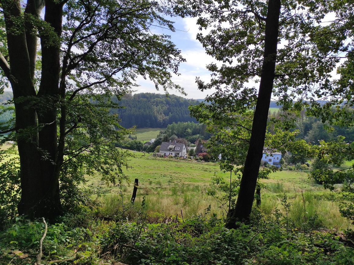 Blick hinunter ins Tal