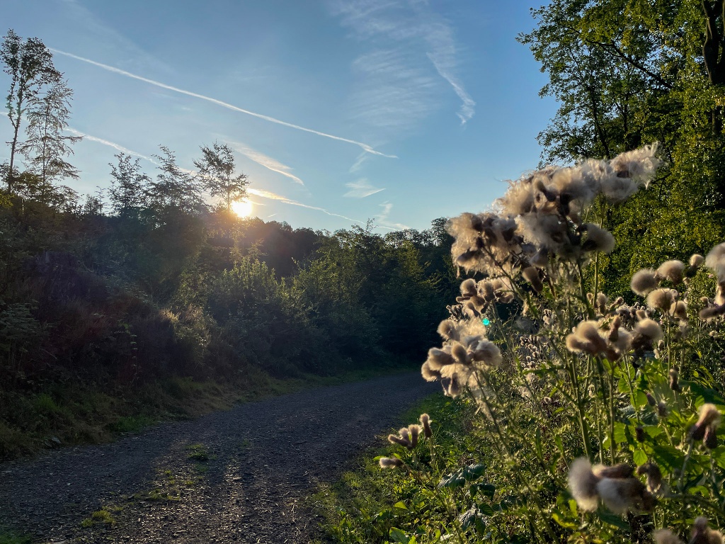 Sauerland-Höhenflug in der Morgensonne