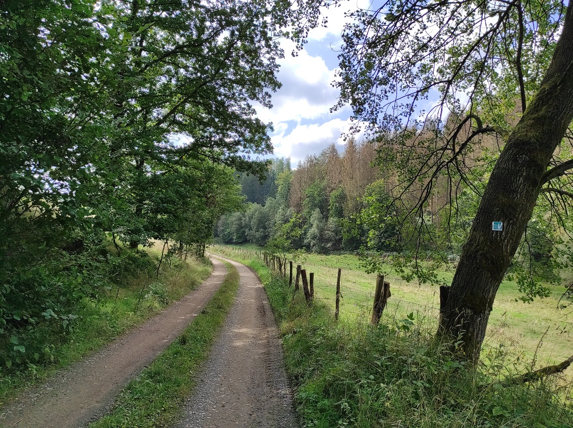 Wegeverlauf des Wanderweges abseits der Talsperre