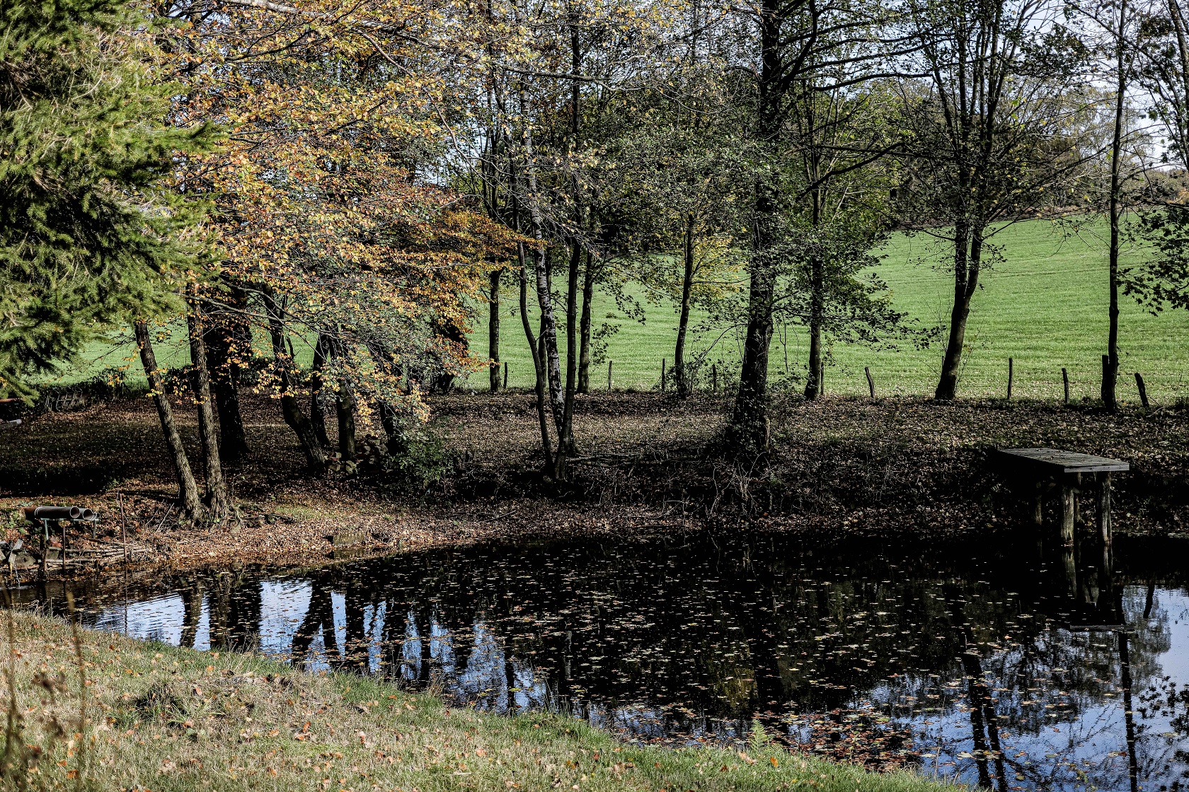 Verträumt wirkender Teich am Wegesrand