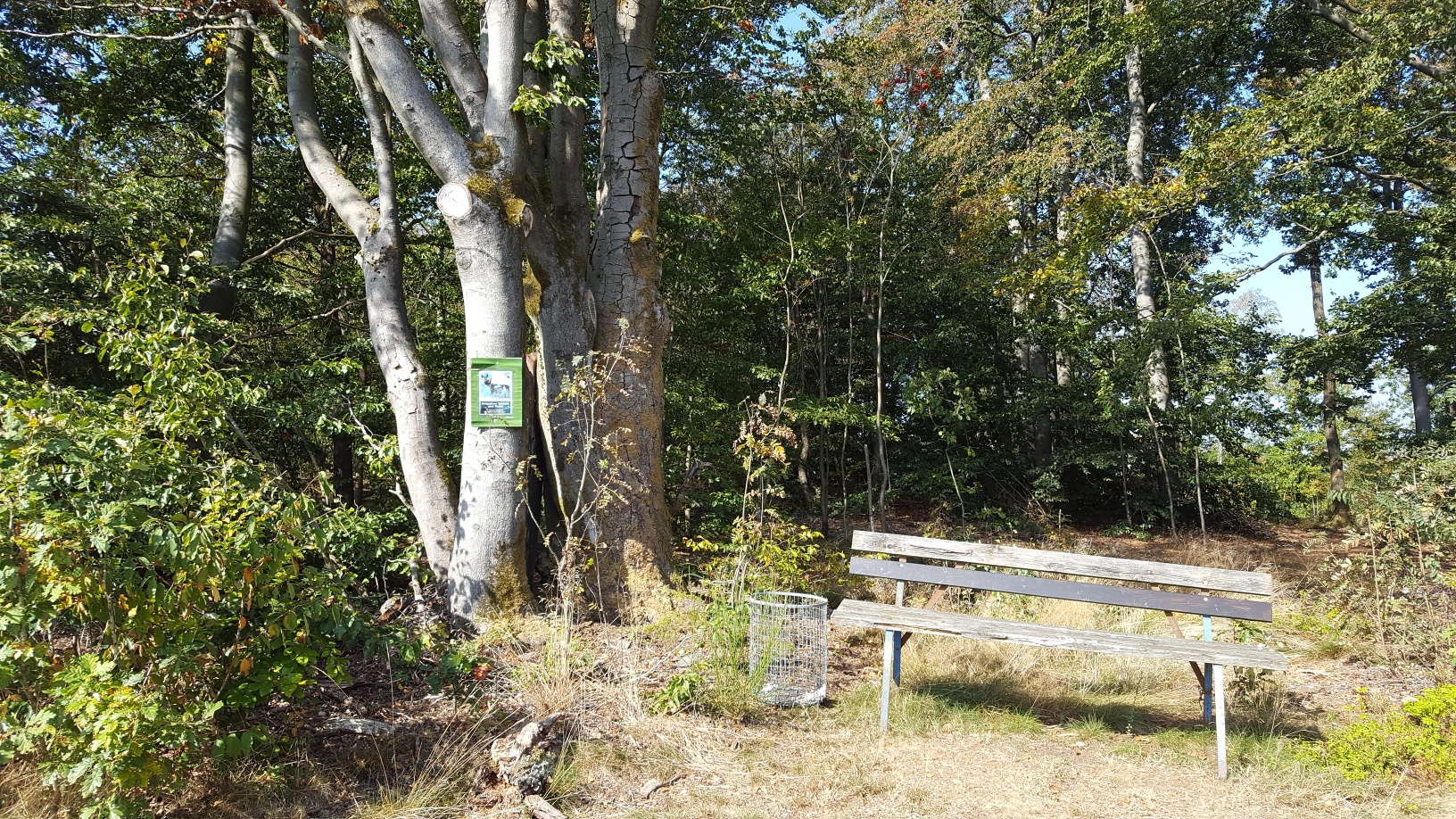 MTB Bergziegen Tour